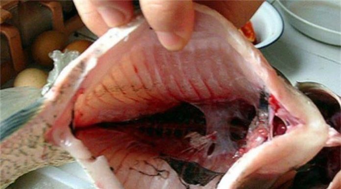 How to Prepare Fish Without Cleaning These 3 Parts
