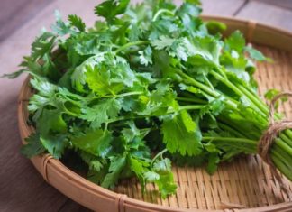 Spice Herbs High in Vitamin C: Health Benefits and More