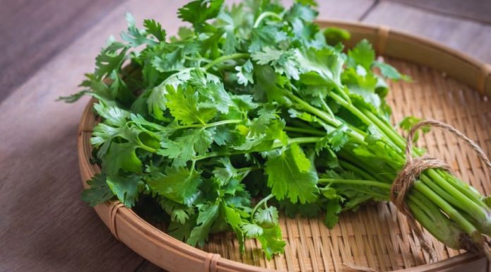 Spice Herbs High in Vitamin C: Health Benefits and More