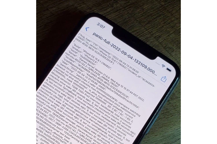 What is the Panic Full iPhone error? Causes and detailed instructions on how to fix it