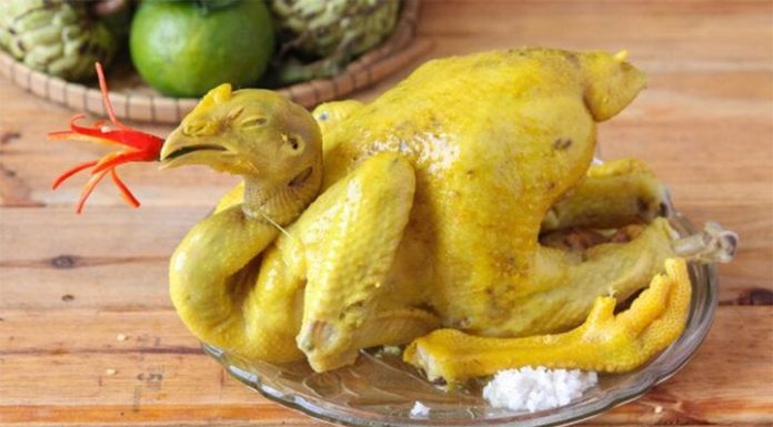 Mistakes to avoid when boiling chicken that can turn the dish into a ‘disaster’