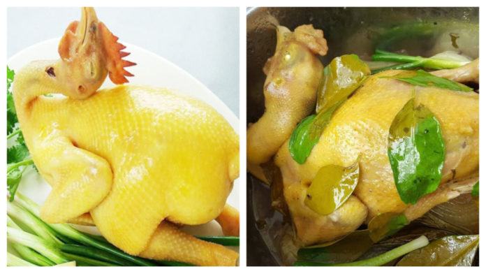 Boiling or Cold Water: Uncover the Truth About Boiling Chicken – The Right Way