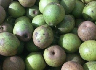 What is Mác-cọp? How to differentiate it from Chinese Mác-cọp?