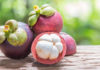 Best Tips for Choosing 10 Perfectly Ripe Mangosteens This Season