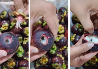 How to easily peel a coconut, no need for a knife