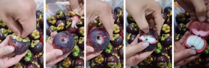 How to easily peel a coconut, no need for a knife