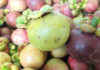How to choose delicious mangosteen that not everyone knows