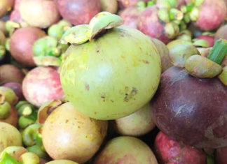 How to choose delicious mangosteen that not everyone knows