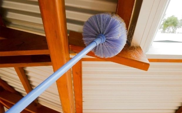 5 Effective and Quick Ways to Clean Spider Webs