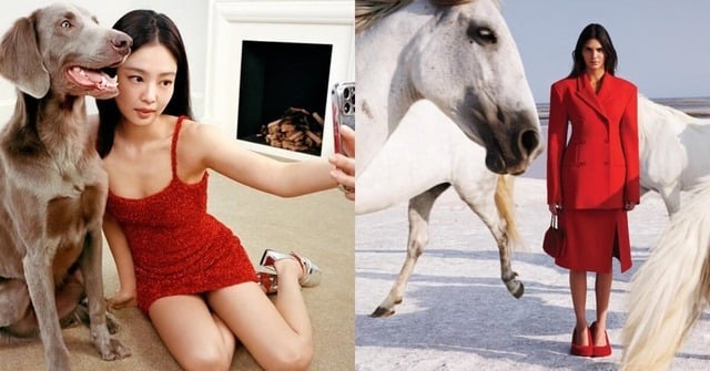 5 Head-Turning Tips to Rock Red in the New Year