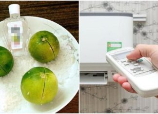 Uncommonly Effective Way to Keep Lemon and Salt in an Air-conditioned Room