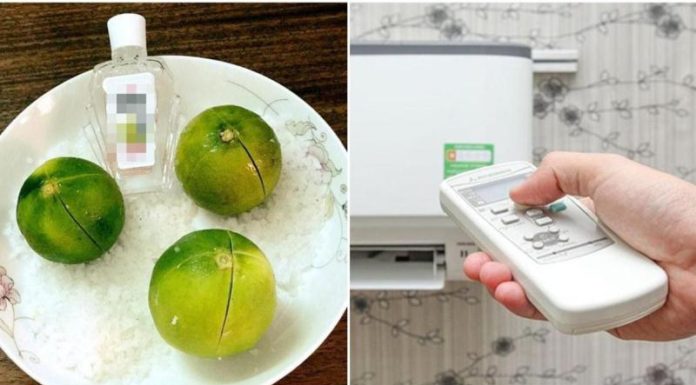 Uncommonly Effective Way to Keep Lemon and Salt in an Air-conditioned Room