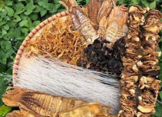 Tasty and Safe Lunar New Year: Choosing Chemical-Free Fruits, Noodles, and Mushrooms