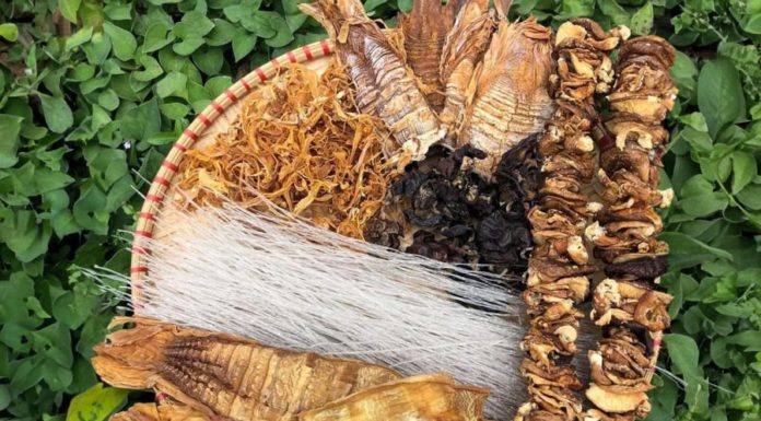 Tasty and Safe Lunar New Year: Choosing Chemical-Free Fruits, Noodles, and Mushrooms