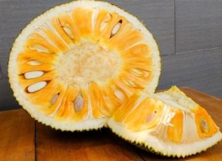 Quick tips to easily remove sticky jackfruit resin from your hands, knife, and clothes