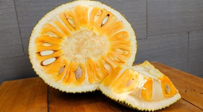 Quick tips to easily remove sticky jackfruit resin from your hands, knife, and clothes