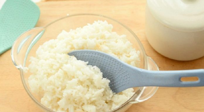 Why are there circles on rice paddies?