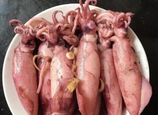 Who should not eat squid?