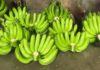 Mother-in-law rejects beautiful bananas bought by daughter-in-law. Why?