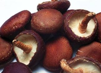 When selecting fresh mushrooms, look out for these 5 signs before you make your purchase.