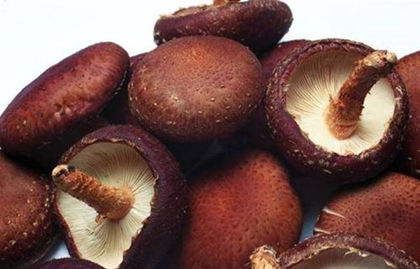 When selecting fresh mushrooms, look out for these 5 signs before you make your purchase.