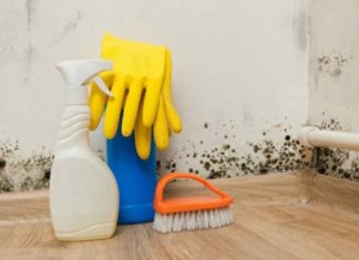Effective and Safe Ways to Eliminate Mold Using Affordable Ingredients: A Must-Know for Homes with Young Children