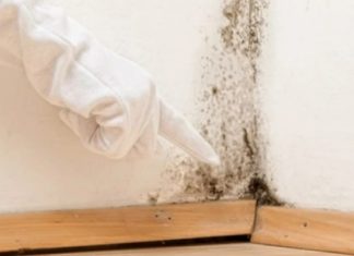 Simple and Affordable Methods to Deal with Moldy Walls
