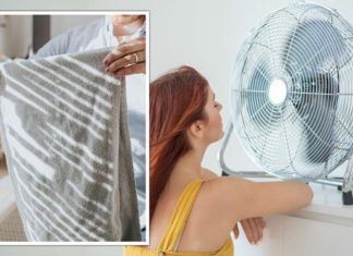 Internet users put cold towels on fans to cool down, expert reveals deadly mistake