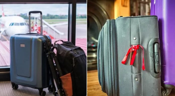 Why do smart people always take pictures of their luggage before checking in for a flight?