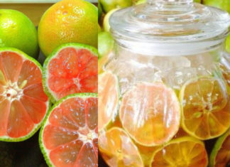 How to preserve peaches in lemon water without mold, taking care of your family’s health, all year round without the use of chemicals