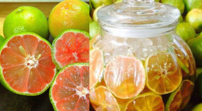 How to preserve peaches in lemon water without mold, taking care of your family’s health, all year round without the use of chemicals