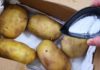 Soak potatoes with this one thing before cooking: Crispy and worry-free, no pesticide residue