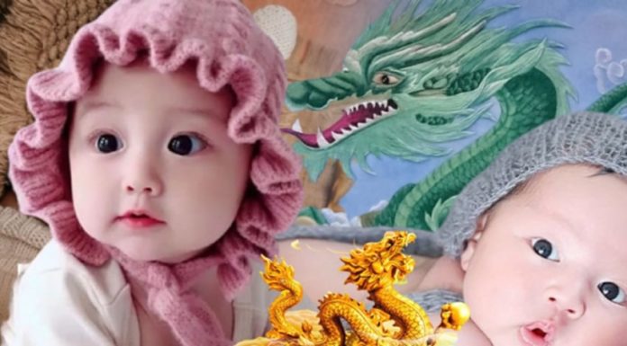 Personality and destiny of a baby born in 2024, the Year of the Wood Horse.