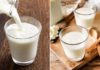 7 Groups of People who Shouldn’t Drink Milk