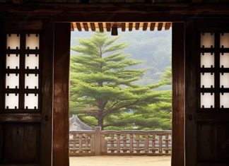 Why did people in the past dislike a house with two doors, causing both the house and its owner to be distressed?