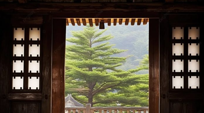 Why did people in the past dislike a house with two doors, causing both the house and its owner to be distressed?