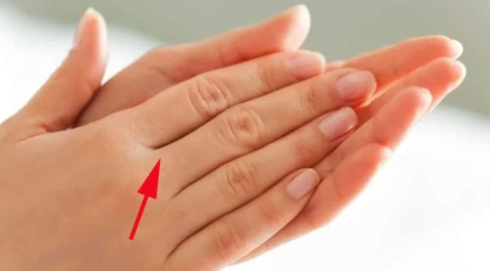 The Fortune-Telling General: Look into the palm, predict instantly whether one’s future will be rich or poor, extremely accurate