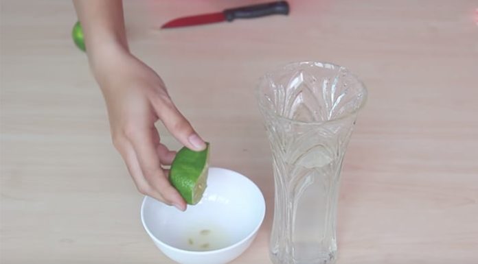 Don’t just water your Tet flowers, add a dash of this seasoning to keep them fresh all month.