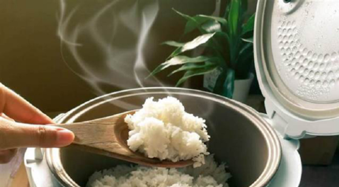 Secrets to Saving Electricity When Using an Electric Rice Cooker