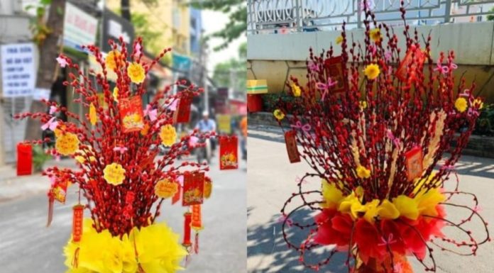 7 Lucky Houseplants for a Prosperous Lunar New Year: These Long-living Species Bring Good Fortune