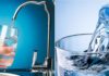 Should I use filtered water or bottled water?