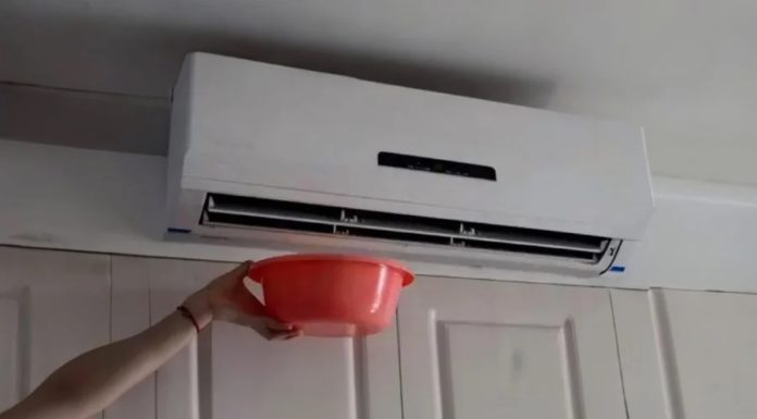 Don’t waste and dump air conditioner wastewater, they can be incredibly useful!