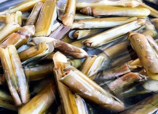 Boneless, Skinless Meat: Nutritious Alternative to Pork, Ideal for Winter Consumption