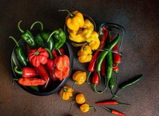 How to store chili for a few months and keep it fresh and delicious