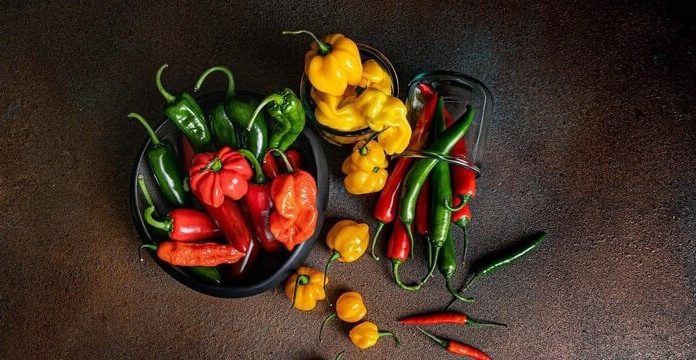 How to store chili for a few months and keep it fresh and delicious