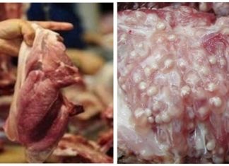 3 types of pre-ground meat you shouldn’t eat, don’t compromise quality for cheap prices