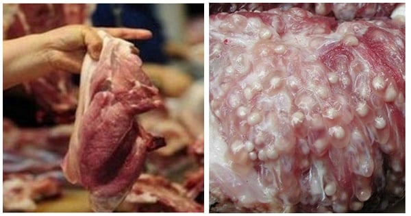 3 types of pre-ground meat you shouldn’t eat, don’t compromise quality for cheap prices