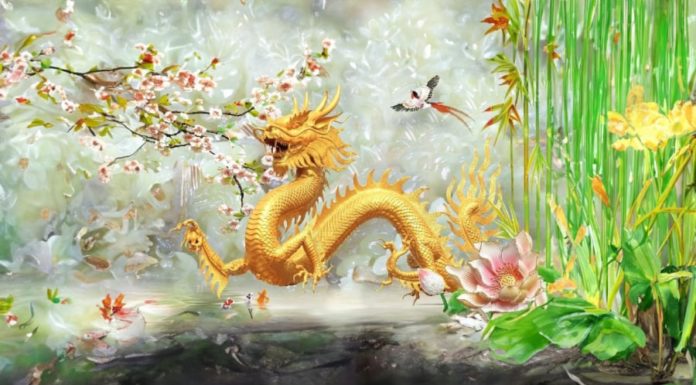 4 Secrets to Creating Good Fortune in the Year of Giap Thin 2024: Smart People Know How to Seize Success