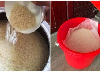 Why did people in the past dislike storing rice in plastic containers, and what impact does the rice container have?