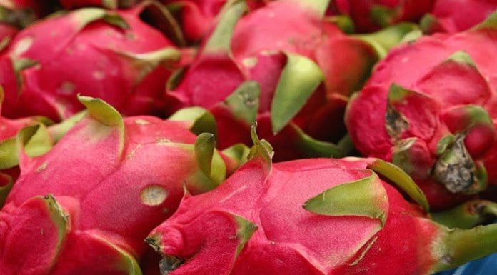 3 Auspicious Fruits of Prosperity: Place Them on the Altar for Wealth and Luck in Tet Giap Thin 2024